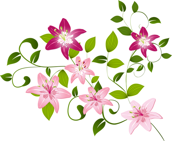 This png image - Lilium Decoration Transparent PNG Clip Art Image, is available for free download