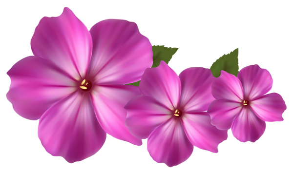 Flores hermosas y otras imagenes en PNG Pink_Flower_Decor_PNG_Clipart