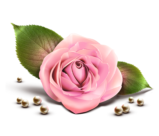 Flores hermosas y otras imagenes en PNG Pink_Rose_Decor_Transparent_PNG_Clipart