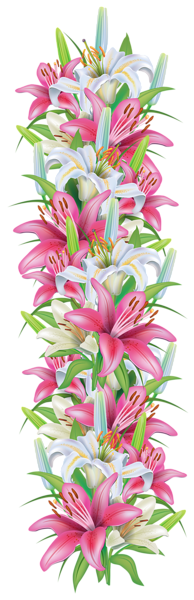 Flores hermosas y otras imagenes en PNG Pink_and_White_Lilies_Decoration_Border_PNG_Clipart_Image