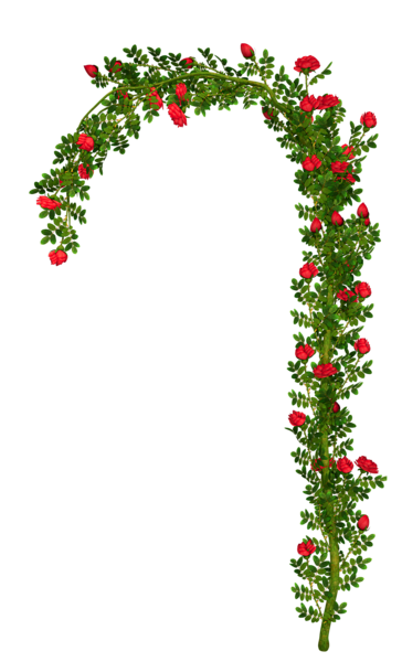 This png image - Rosebush Arch Element PNG Clipart Picture, is available for free download