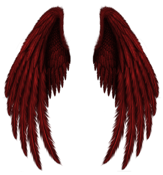 This png image - Transparent Red Wings PNG Clipart Picture, is available for free download