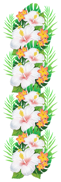 زخارف سكرابيه للتصميم  بنرات اشرطة ورود ستائر لتصميم بدون تحميل  White_Exotic_Flowers_Decoration_PNG_Clipart