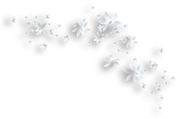 White Flowers Decorative PNG Clipart | Gallery Yopriceville - High