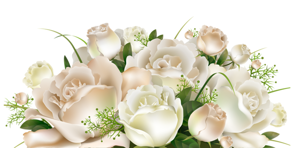 Flores hermosas y otras imagenes en PNG White_Roses_Decoration_PNG_Clipart_Picture