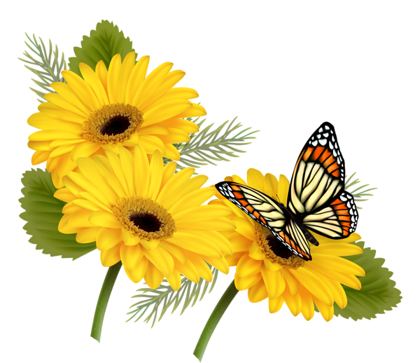 Flores hermosas y otras imagenes en PNG Yellow_Gerberas_with_Butterfly_PNG_Clipart