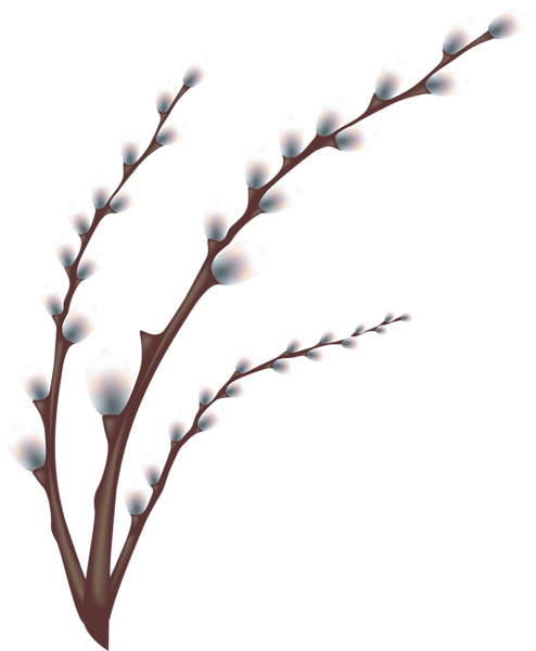 This png image - Easter Willow Tree Branch Transparent PNG Clip Art Image, is available for free download