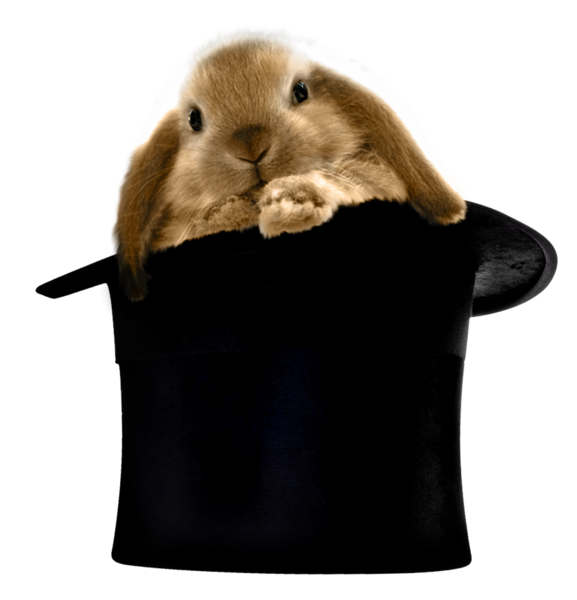 This png image - Rabbit in Hat PNG Clipart, is available for free download