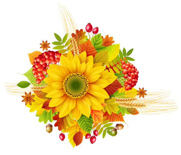free clipart of fall flowers - photo #49
