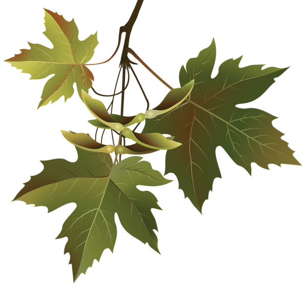 This png image - Autumn Leaves Branch PNG Clipart Image, is available for free download