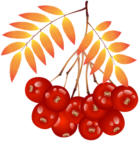 This png image - Autumn Plant PNG Clipart, is available for free download