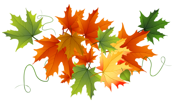 This png image - Autumn Transparent Leaves, is available for free download