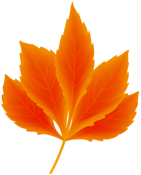 This png image - Fall Leaf Orange Transparent PNG Clipart, is available for free download