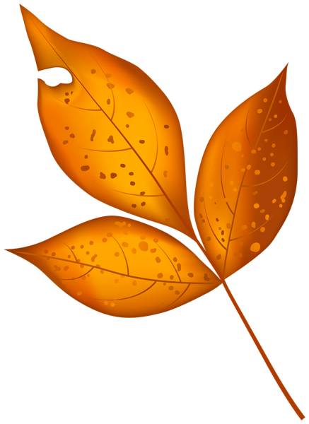 This png image - Fall Leaf PNG Clipart, is available for free download