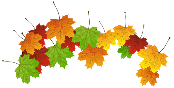 This png image - Fall Leaves PNG Clipart Image, is available for free download