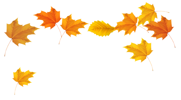 This png image - Fall Leaves Picture, is available for free download