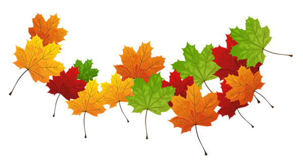 This png image - Fall Transparent Leaves, is available for free download