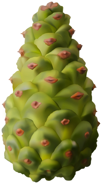 This png image - Green Pinecone PNG Clipart, is available for free download