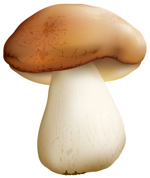 This png image - Mushroom PNG Clipart Image, is available for free download