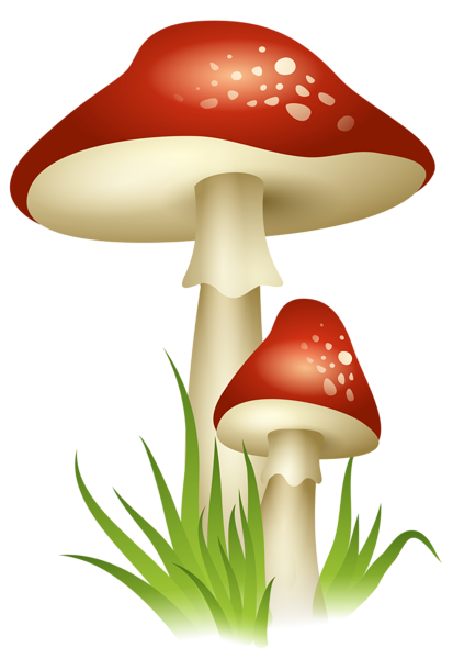 This png image - Mushrooms Transparent PNG Picture, is available for free download