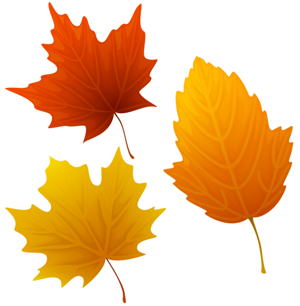 clipart of autumn leaves - photo #36