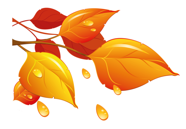This png image - Transparent Autumn Leaves PNG Clipart, is available for free download
