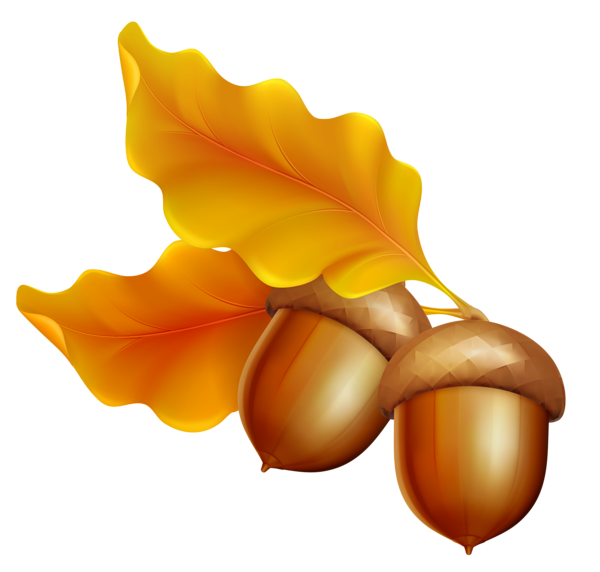 This png image - Transparent Autumn Leaves with Acorns, is available for free download