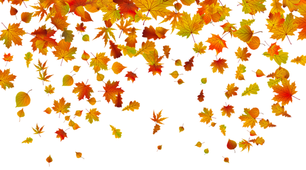 This png image - Transparent Fall Leaves PNG Clipart Image, is available for free download