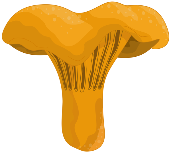 This png image - Wild Mushroom PNG Clipart, is available for free download
