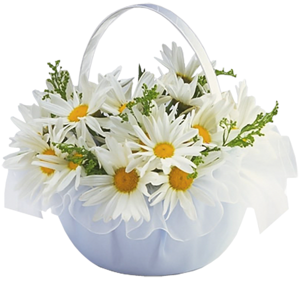 Basket with Daisies Transparent Clipart | Gallery Yopriceville - High