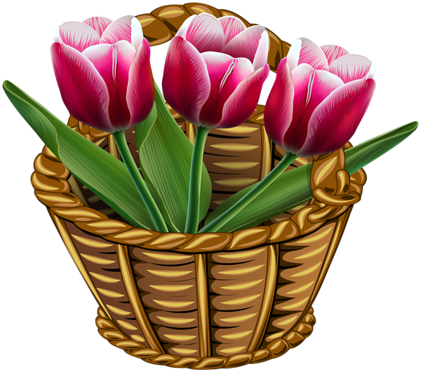 This png image - Basket with Tulips Transparent PNG Clip Art Image, is available for free download