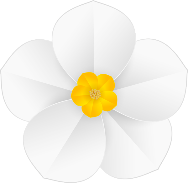 This png image - Daffodil White Flower Transparent Clipart, is available for free download