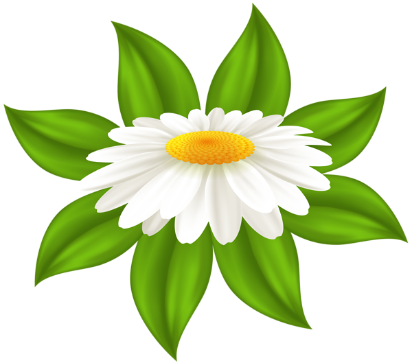daisy clipart png - photo #46