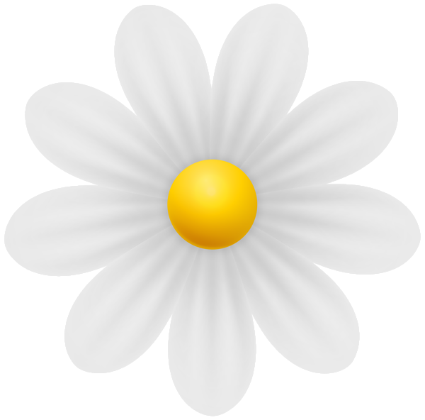 This png image - Daisy White Flower PNG Transparent Clipart, is available for free download