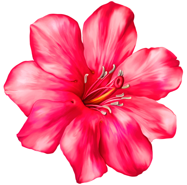 This png image - Exotic Pink Flower PNG Clipart Picture, is available for free download