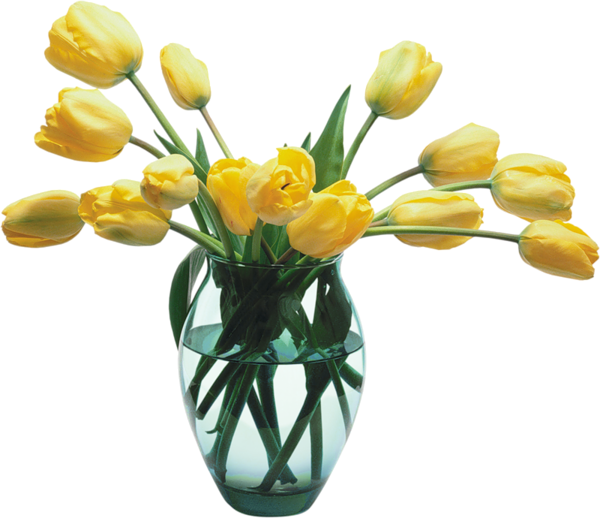 Glass Vase with Yellow Tulips | Gallery Yopriceville ...