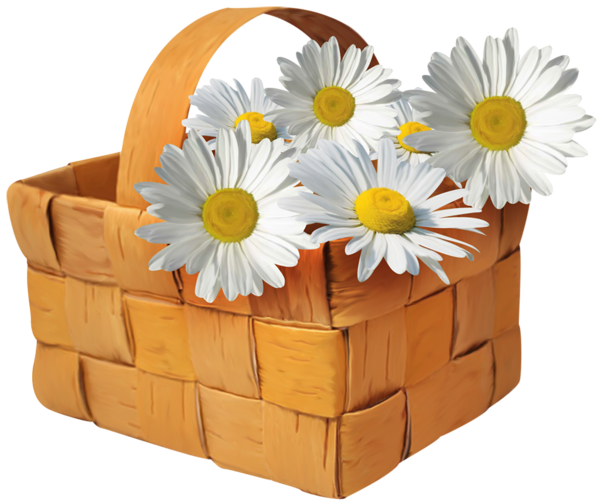 This png image - Large Transparent Basket with Daisies Clipart, is available for free download