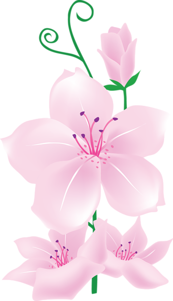 Light Pink Flowers Clipart | Gallery Yopriceville - High-Quality Images