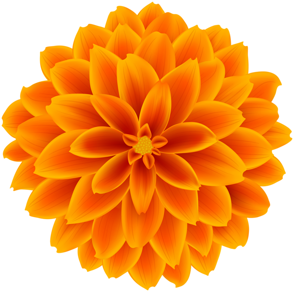 This png image - Orange Dahlia Flower Transparent Clipart, is available for free download