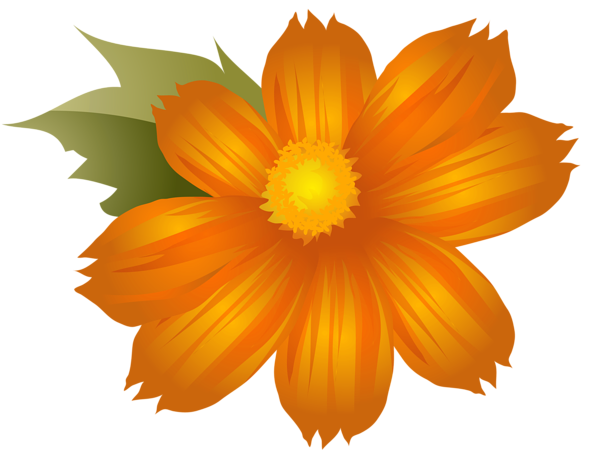 Orange Flower PNG Clip-Art Image | Gallery Yopriceville - High-Quality