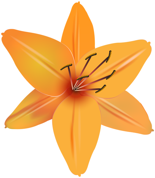 Orange Flower PNG Clip Art Image | Gallery Yopriceville - High-Quality