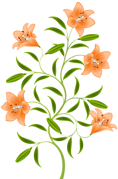 This png image - Orange Lily PNG Clip Art Image, is available for free download