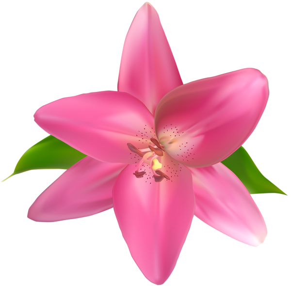This png image - Pink Flower PNG Clip Art Image, is available for free download