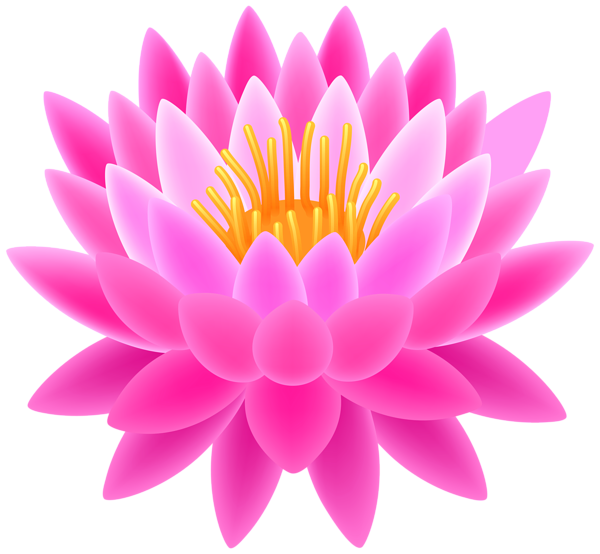 Clip Art Lotus Clipart pink lotus transparent png clip art image