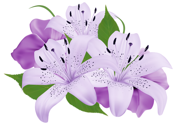 This png image - Purple Exotic Flowers PNG Clipart Image, is available for free download
