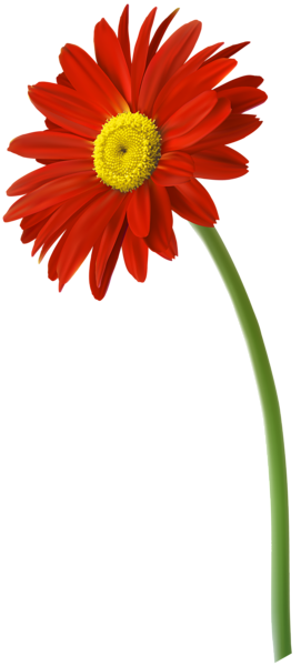 clip art gerbera flowers - photo #37