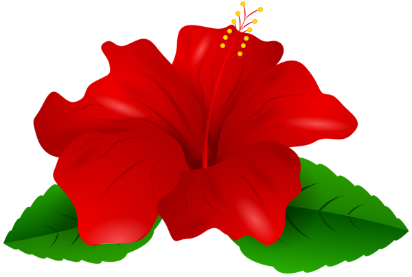 This png image - Red Hibiscus Transparent PNG Clip Art, is available for free download