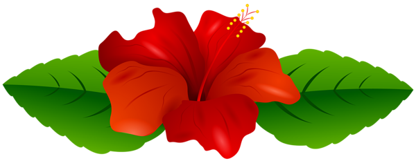 Red Hibiscus Transparent PNG Clip Art Image | Gallery ...