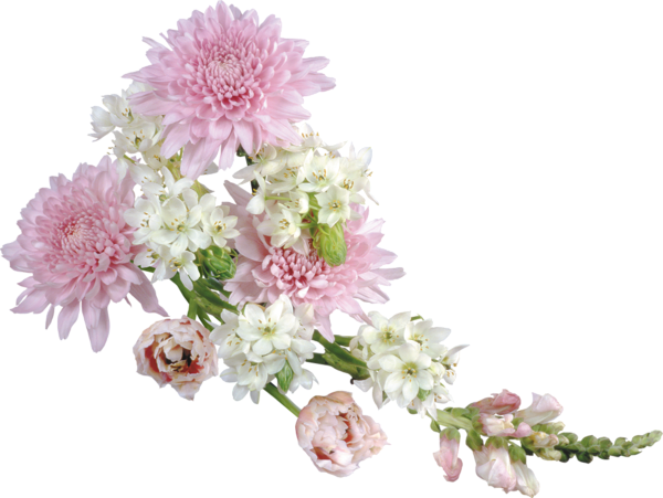 Transparent Soft Flower Arrangement Clipart | Gallery Yopriceville