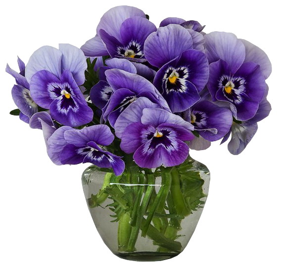 This png image - Violets Vase Bouquet Clipart, is available for free download